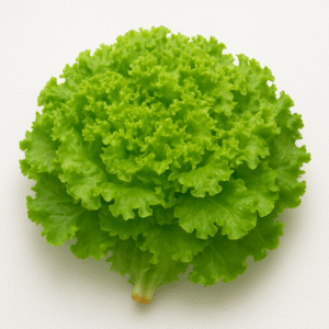 LECHUGA RULITO